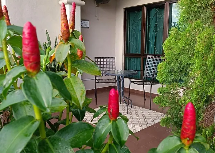 Villa 223